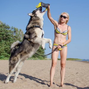Кусалка игрушка для дрессировки маламута
